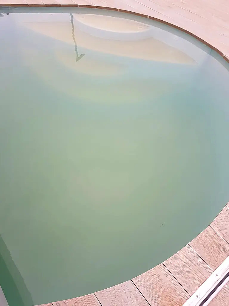 The Garden, Swimming Pool & Hot Tub 9